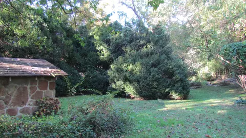 5515 E River Rd, Mentone, AL 35984 photo 62