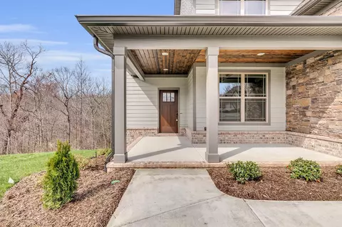 10159 Meadowstone Dr, Apison, TN 37302 photo 2