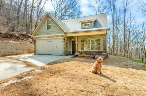 9670 Switchback Trl, Ooltewah, TN 37363 photo 3