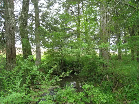 5015 Gamble Rd, Georgetown, TN 37336 photo 11