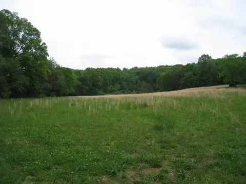 5015 Gamble Rd, Georgetown, TN 37336 photo 5
