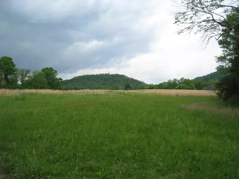 5015 Gamble Rd, Georgetown, TN 37336 photo 8