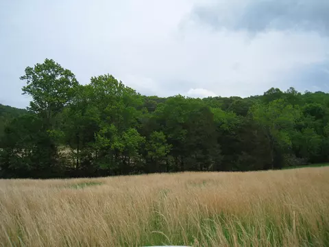 5015 Gamble Rd, Georgetown, TN 37336 photo 16