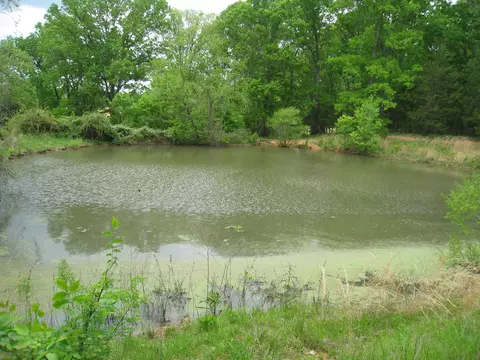 5015 Gamble Rd, Georgetown, TN 37336 photo 2
