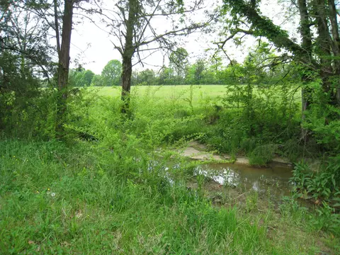 5015 Gamble Rd, Georgetown, TN 37336 photo 12