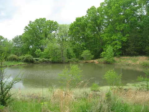 5015 Gamble Rd, Georgetown, TN 37336 photo 3