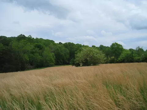 5015 Gamble Rd, Georgetown, TN 37336 photo 1