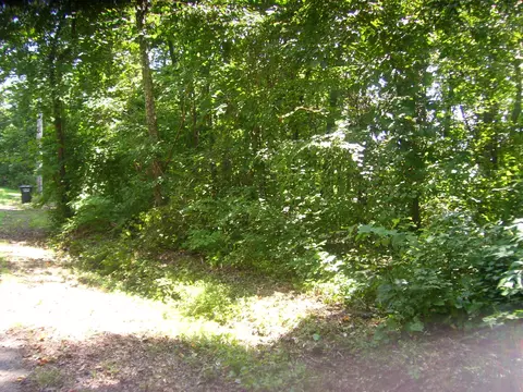 270 Riverview Dr, Jasper, TN 37347 photo 5