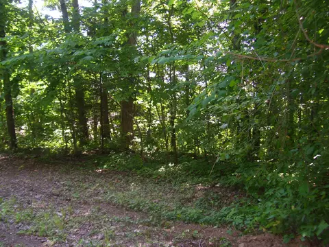 270 Riverview Dr, Jasper, TN 37347 photo 2