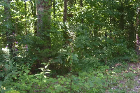 270 Riverview Dr, Jasper, TN 37347 photo 4