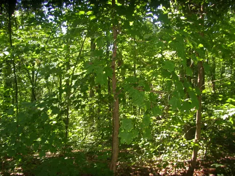 270 Riverview Dr, Jasper, TN 37347 photo 7