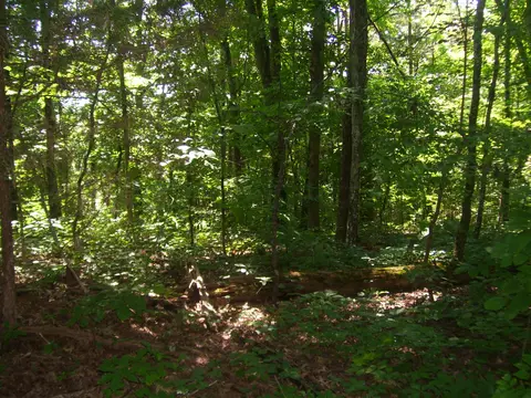 270 Riverview Dr, Jasper, TN 37347 photo 3