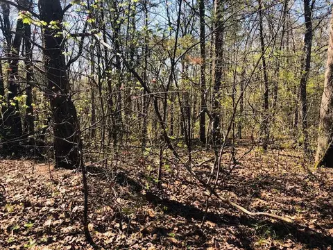 800 Vineyard Point Rd, Sequatchie, TN 37374 photo 1