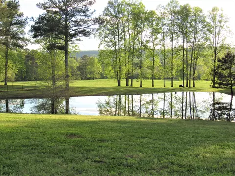 1205 Wimpy Rd, Ringgold, GA 30736 photo 43