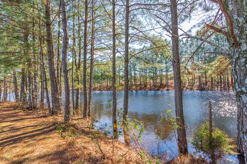 30 Maple Leaf Dr, Rock Spring, GA 30739 photo 13