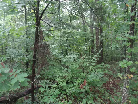 920 Vineyard Point Rd, Sequatchie, TN 37374 photo 1