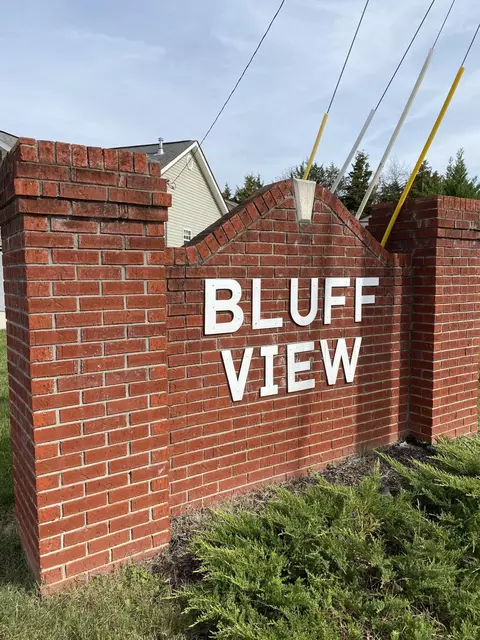 470 Bluff View Dr, Ringgold, GA 30736 photo 19