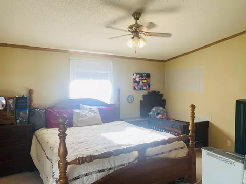 12803 Thatch Rd, Harrison, TN 37341 photo 13