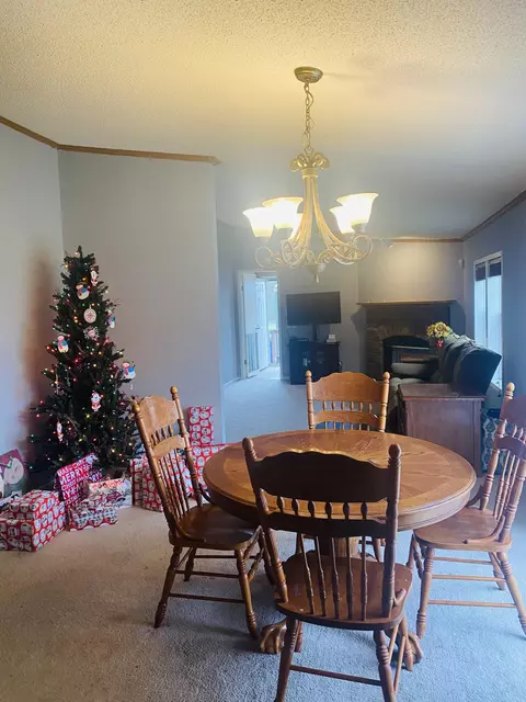 12803 Thatch Rd, Harrison, TN 37341 photo 9
