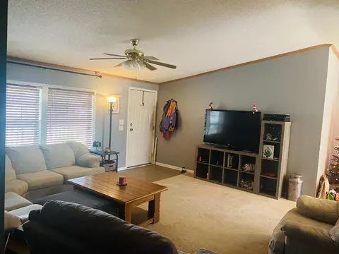 12803 Thatch Rd, Harrison, TN 37341 photo 5