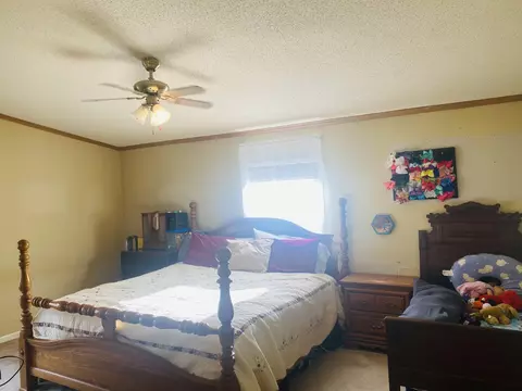12803 Thatch Rd, Harrison, TN 37341 photo 12