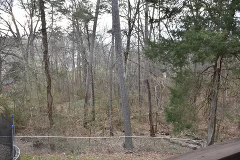 37 Pine Dr, Ringgold, GA 30736 photo 34
