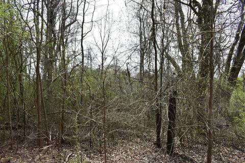 8155 Smithfield Rd, Carrollton, GA 30117 photo 1