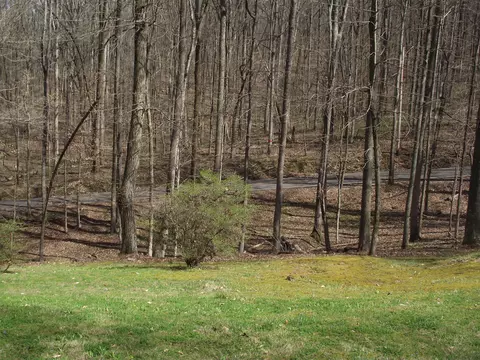 445 Cave Rd, Jasper, TN 37347 photo 2
