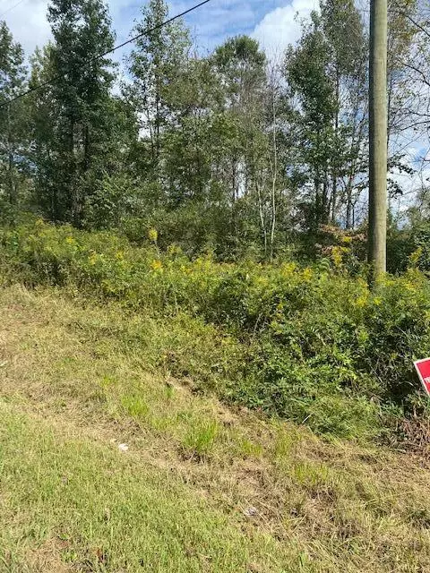 0000 Old Trion Hwy, Trion, GA 30753