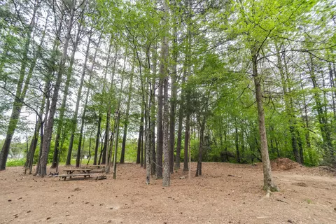 116 Wheat Dr, Dalton, GA 30721 photo 71