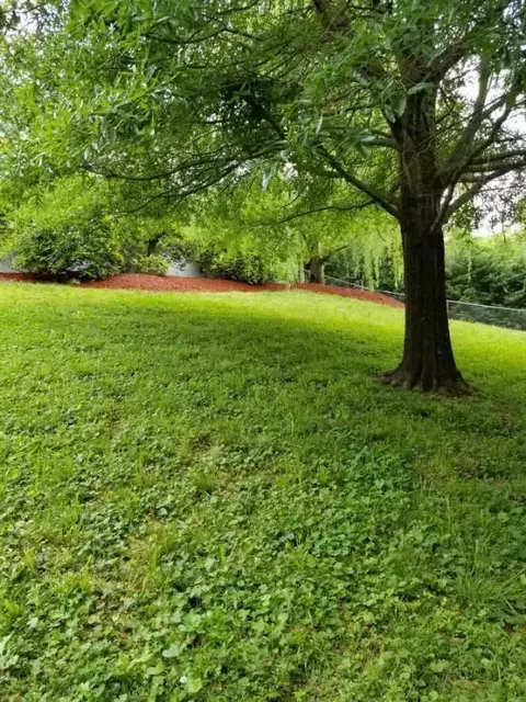 99 Navaho Trl, Dunlap, TN 37327 photo 3