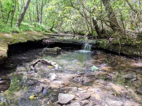 768 Monteagle Falls Rd, Monteagle, TN 37356 photo 38
