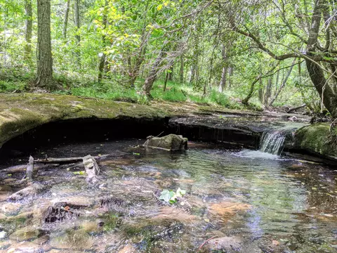 768 Monteagle Falls Rd, Monteagle, TN 37356 photo 41