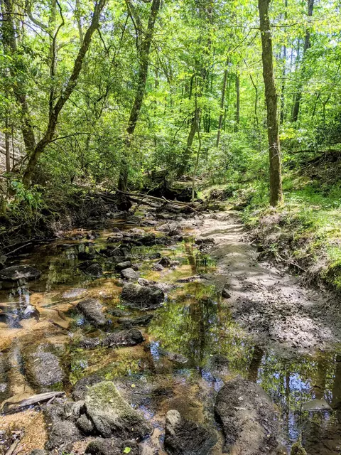 768 Monteagle Falls Rd, Monteagle, TN 37356 photo 39