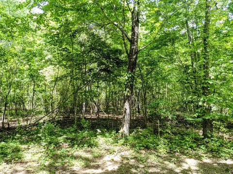 768 Monteagle Falls Rd, Monteagle, TN 37356 photo 32