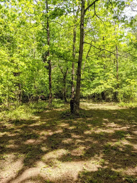 768 Monteagle Falls Rd, Monteagle, TN 37356 photo 33
