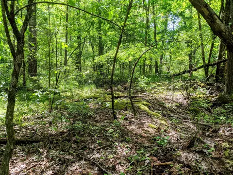 768 Monteagle Falls Rd, Monteagle, TN 37356 photo 44