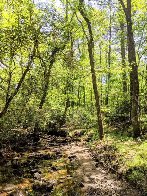 768 Monteagle Falls Rd, Monteagle, TN 37356 photo 40