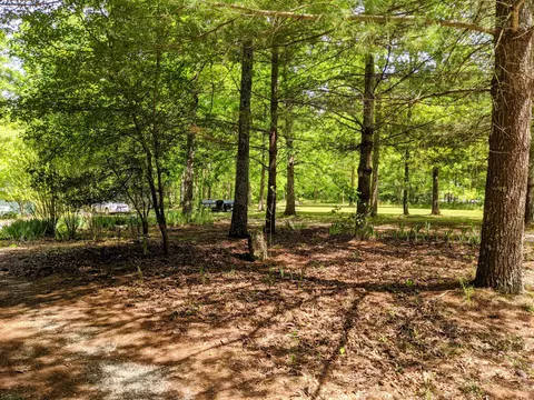 768 Monteagle Falls Rd, Monteagle, TN 37356 photo 50