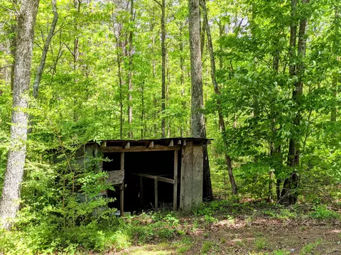 768 Monteagle Falls Rd, Monteagle, TN 37356 photo 27