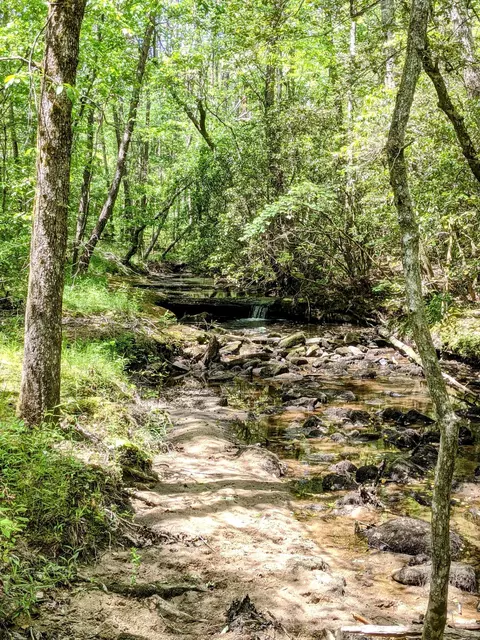 768 Monteagle Falls Rd, Monteagle, TN 37356 photo 45