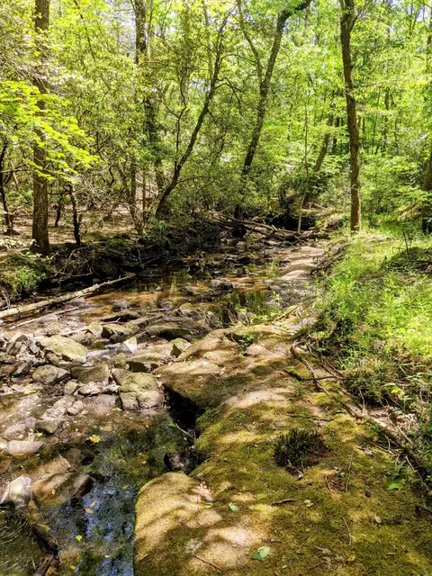 768 Monteagle Falls Rd, Monteagle, TN 37356 photo 37