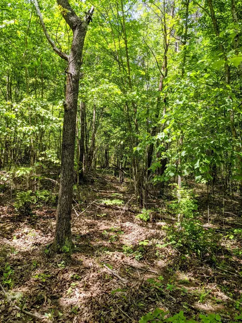 768 Monteagle Falls Rd, Monteagle, TN 37356 photo 35