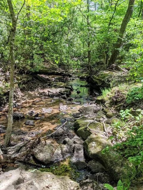 768 Monteagle Falls Rd, Monteagle, TN 37356 photo 42