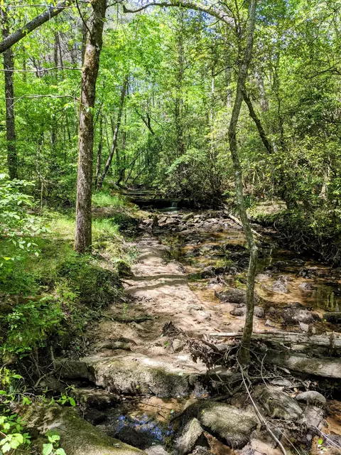 768 Monteagle Falls Rd, Monteagle, TN 37356 photo 43