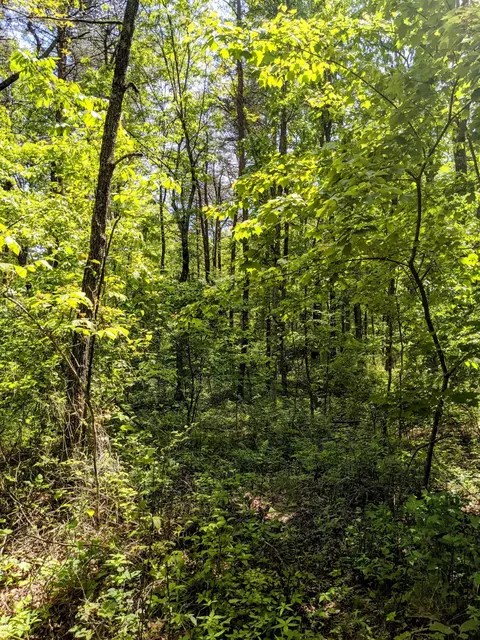 768 Monteagle Falls Rd, Monteagle, TN 37356 photo 34