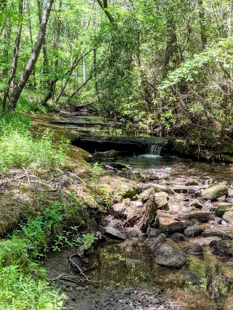 768 Monteagle Falls Rd, Monteagle, TN 37356 photo 46