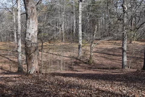 5341 Highway 150, Sequatchie, TN 37374 photo 55