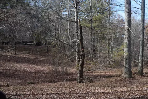 5341 Highway 150, Sequatchie, TN 37374 photo 45