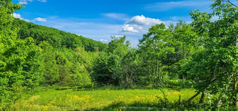 0 Swafford Road Rd, Spring City, TN 37381